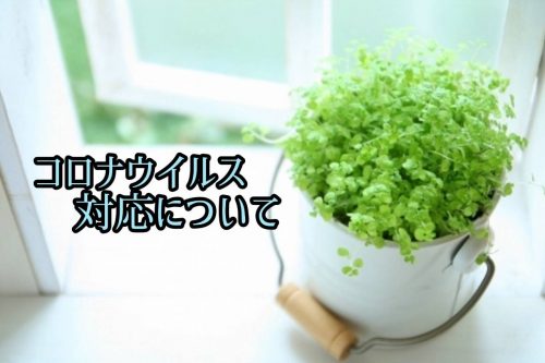 コロナウィルス対策について